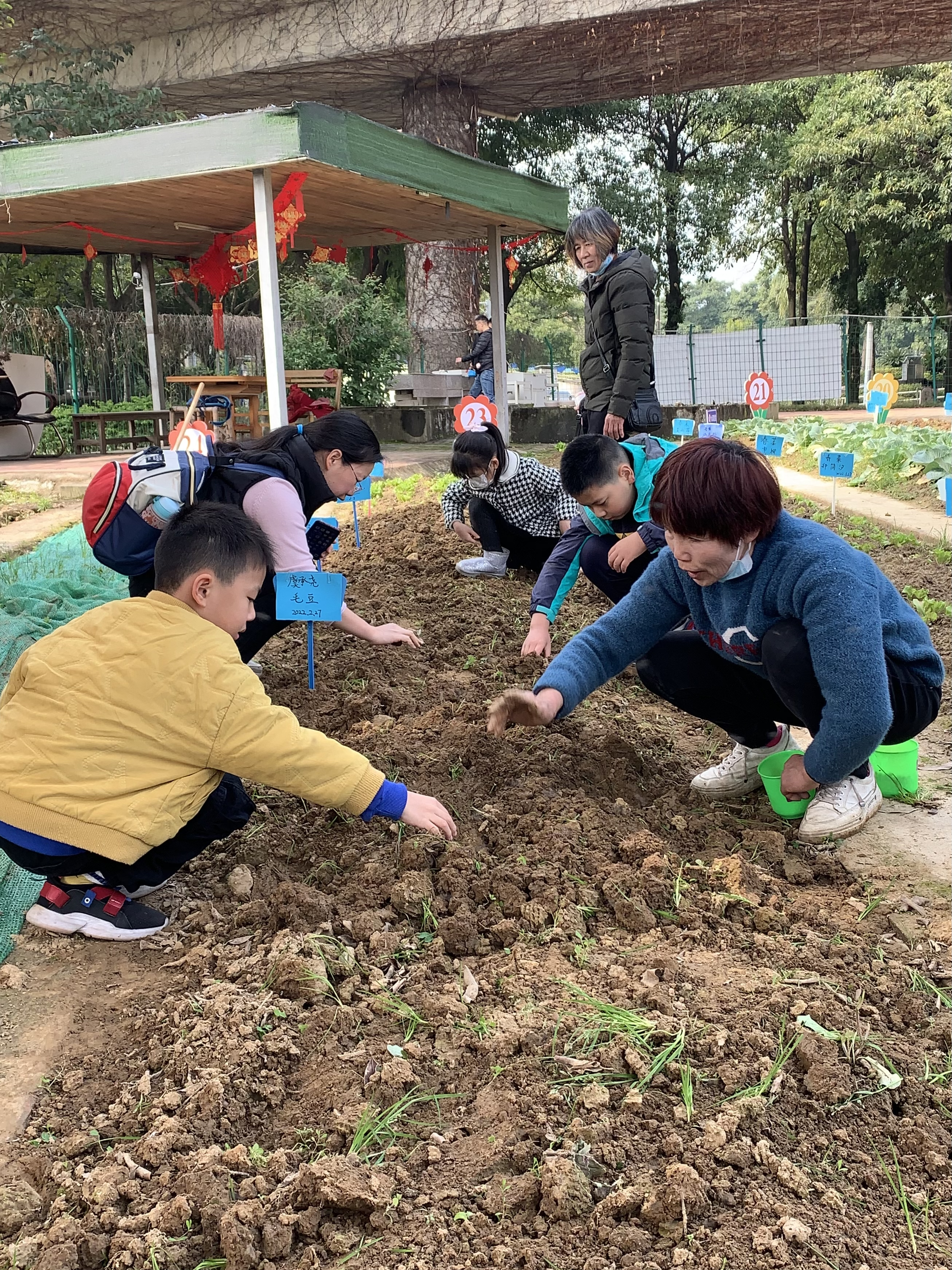“體驗(yàn)種植 收獲快樂” 科普農(nóng)場種植體驗(yàn)活動活動簡報(bào)