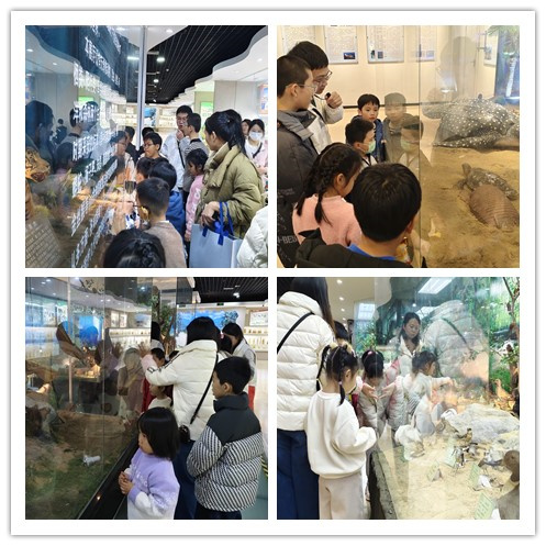 邂逅百年學(xué)府，點燃科學(xué)夢想 ——“閩都科普研學(xué)行”福建師范大學(xué)站圓滿落幕