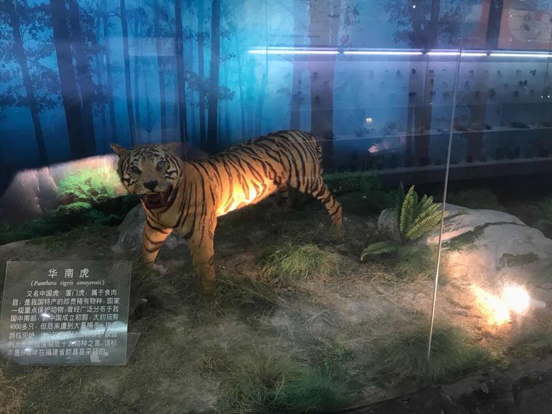 動植物標(biāo)本分館