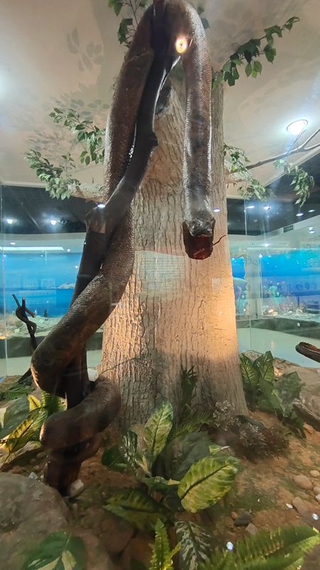 動植物標(biāo)本分館