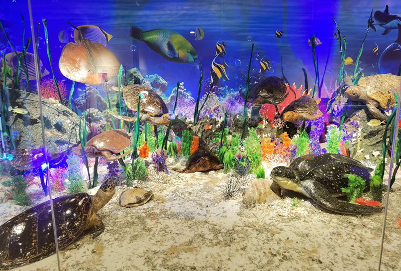 動植物標(biāo)本分館