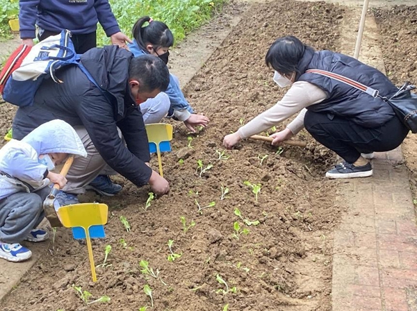 “小種植 大收獲”志愿科普農(nóng)場種植體驗(yàn)活動簡報