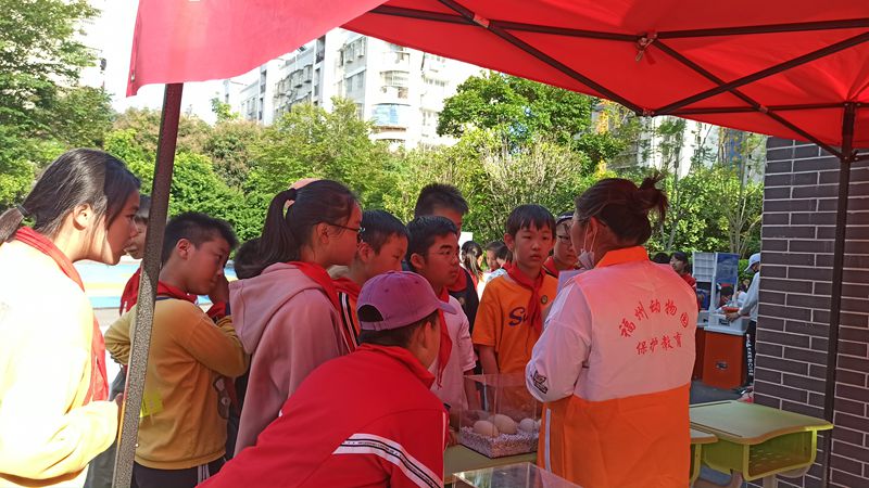 福州動物園參加科普進(jìn)校園系列活動（福州市第八中心小學(xué)）