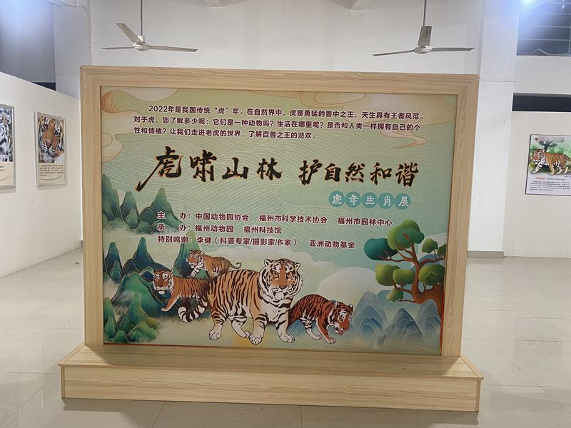 虎年生肖文化展科普活動(dòng)