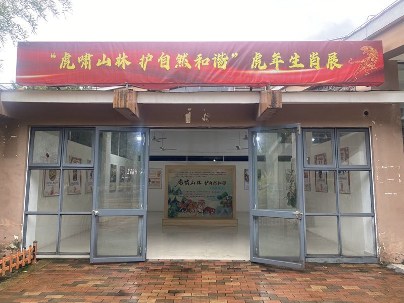虎年生肖文化展科普活動(dòng)