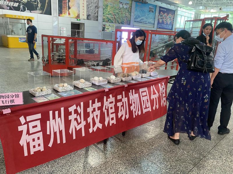 福州科技館動(dòng)物園分館端午節(jié)活動(dòng)