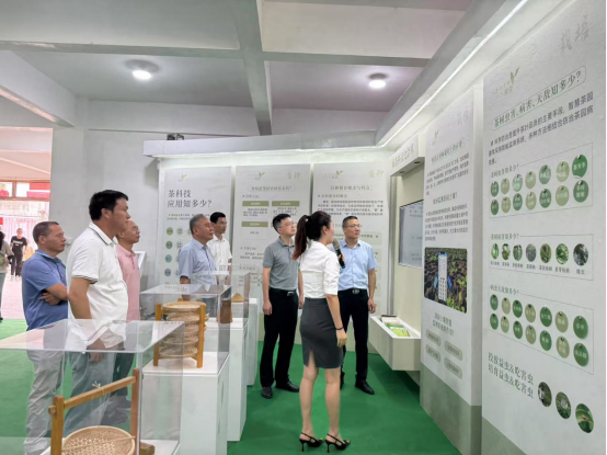 “茶香智韻，科技賦能”——福州科技館“茶科技”科普主題巡展活動簡報