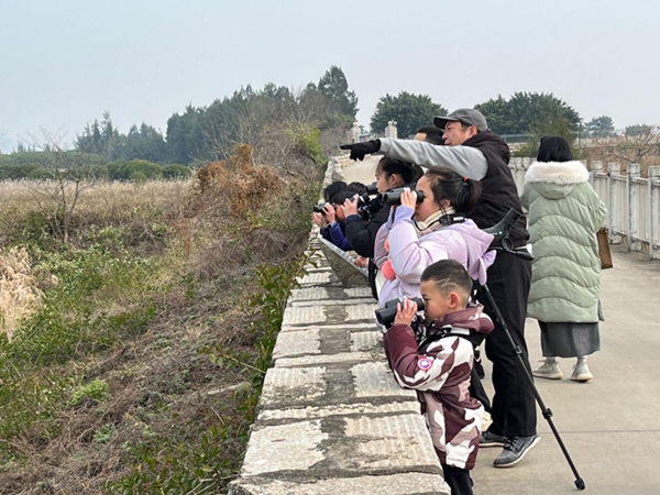 閩江河口濕地舉行“2024年世界濕地日｜濕地與人類(lèi)福祉”主題研學(xué)活動(dòng)