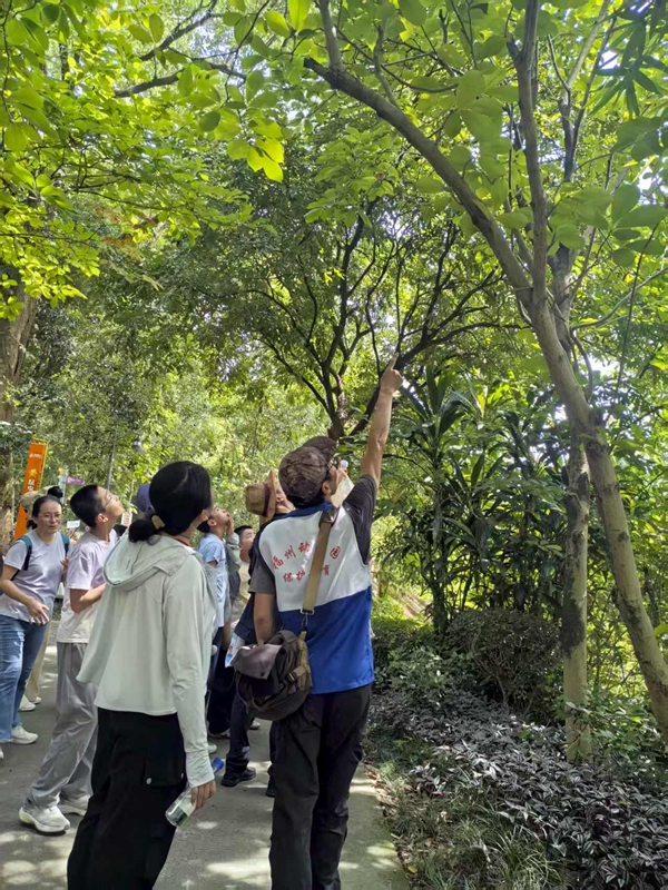 “走進(jìn)自然課堂 探秘昆蟲奇妙世界”閩都科普研學(xué)行活動(dòng)在福州動(dòng)物園圓滿完成