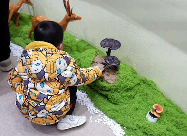 靈芝閩都研學(xué)行:探秘「仙草」背后的科學(xué)密碼 靈芝閩都研學(xué)行:探秘「仙草」背后的科學(xué)密碼