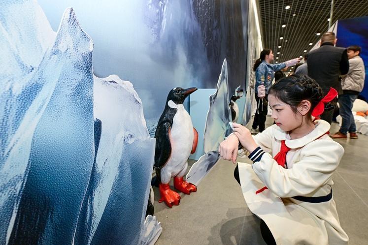 “身臨極境—南極起航”特展啟幕 來福州科技館賞南極風(fēng)光