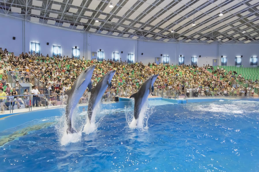 海洋知識分館