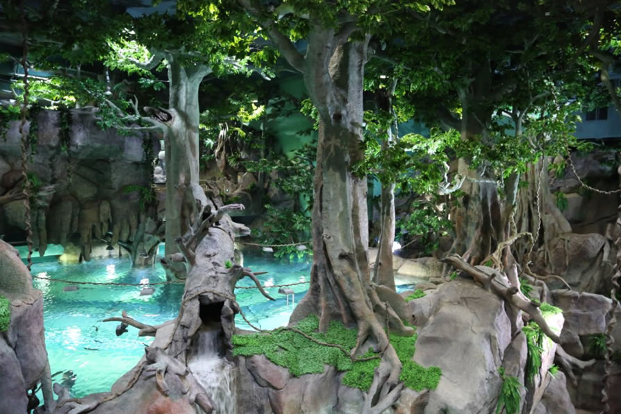 海洋知識分館
